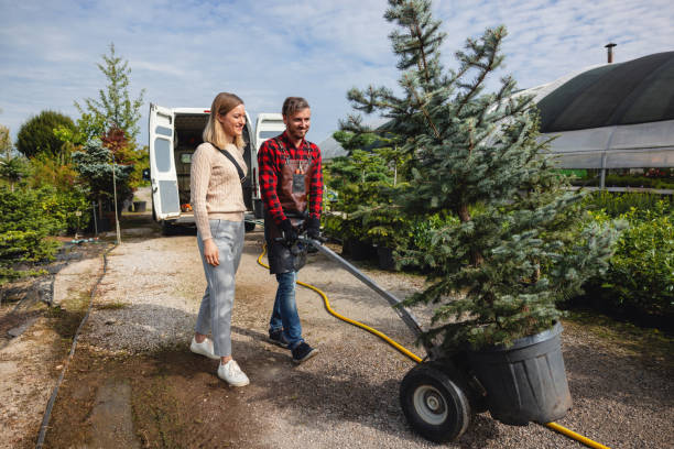 Lawn Watering Services in Vermillion, SD